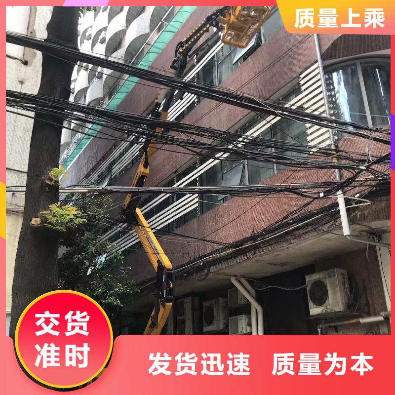 新興路燈車租賃歡迎來電