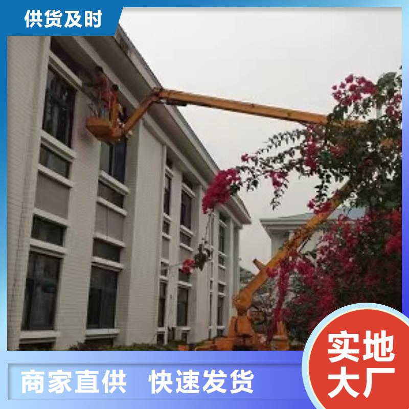 徐聞云梯車出租歡迎咨詢