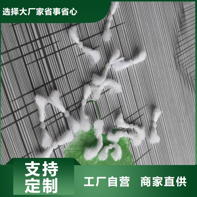 水處理填料,【椰殼粉末活性炭】廠家自營