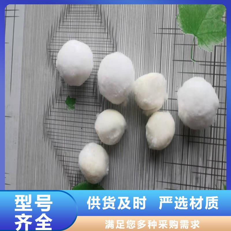 水处理填料_食品级硅藻土自主研发