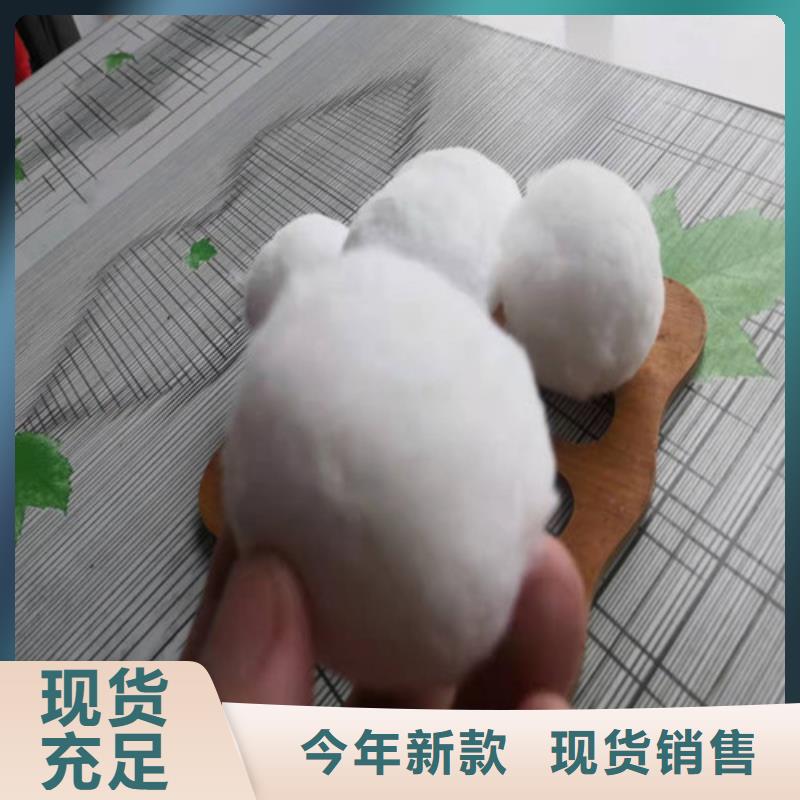 水處理填料柱狀活性炭客戶信賴的廠家