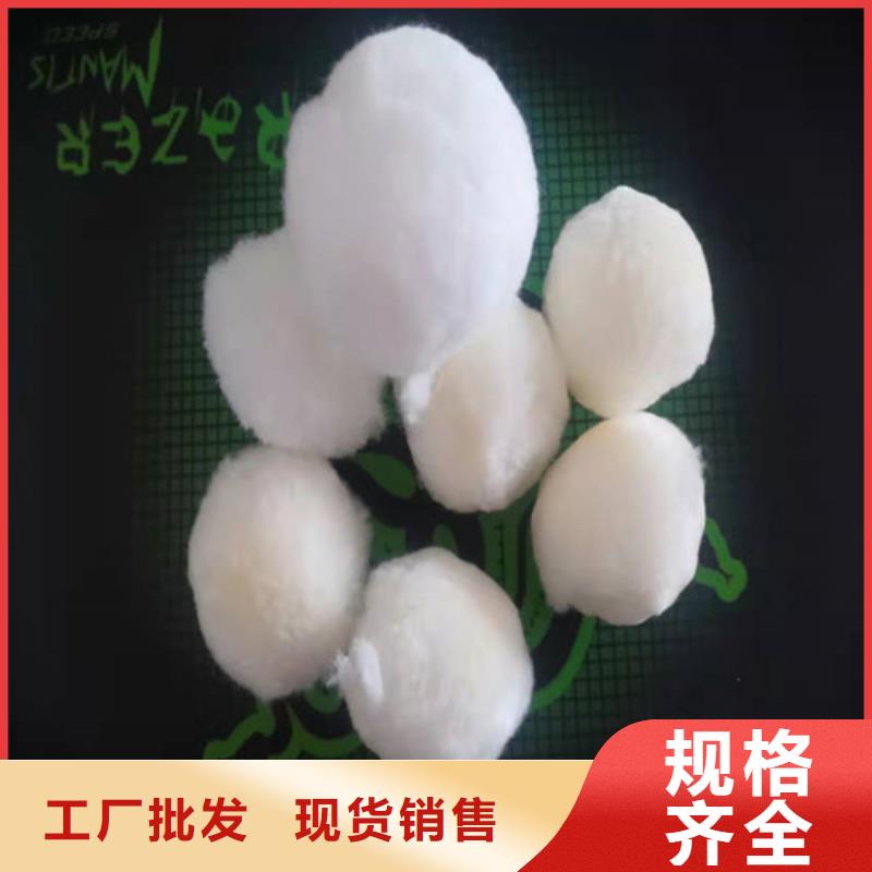 水處理填料_食品級硅藻土自主研發