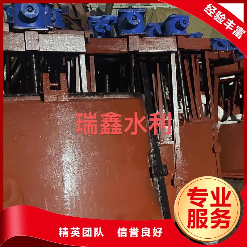 1.0*1.0闸门定制-不另行收费
