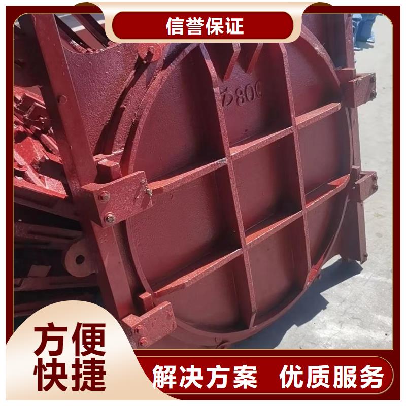鑄鐵鑲銅閘門-鑄鐵閘門螺桿啟閉機直供價優