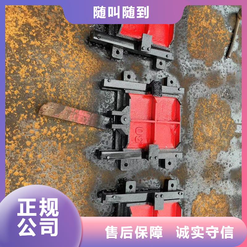 平面拱形闸门-平面闸门带直联启闭机智能
