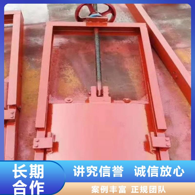 鑄鐵鑲銅閘門-高壓鑄鐵閘門服務貼心