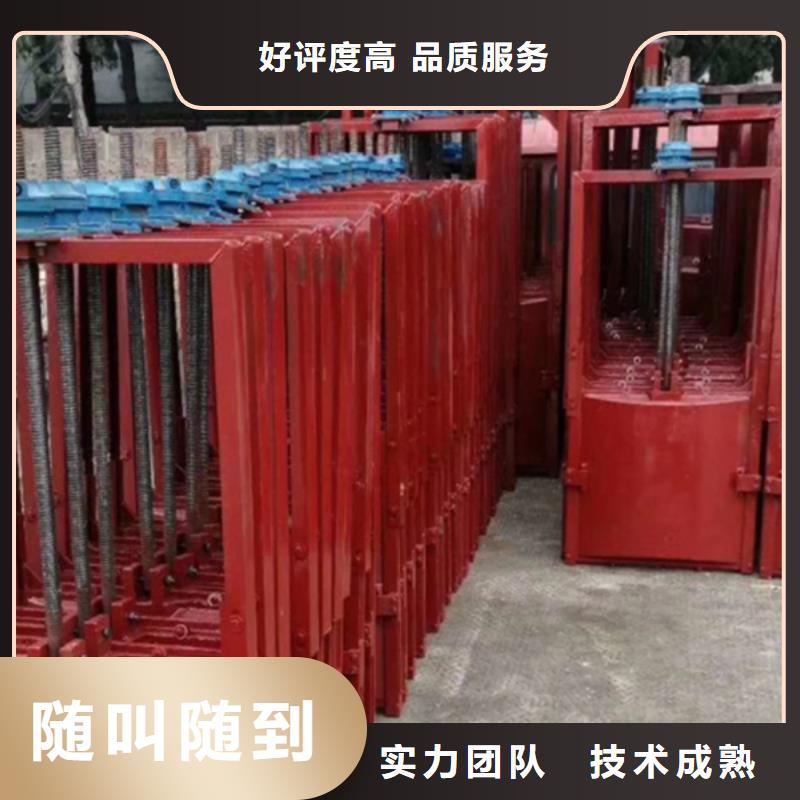啟閉機閘門-平面鑄鐵閘門技術領先