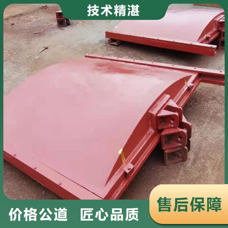 啟閉機(jī)閘門(mén)-ZMQF鑄鐵鑲銅閘門(mén)精益求精