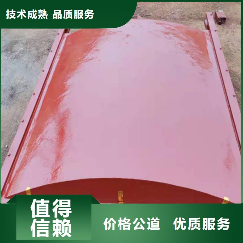 鑄鐵鑲銅閘門-雙向止水鑄鐵閘門值得信賴