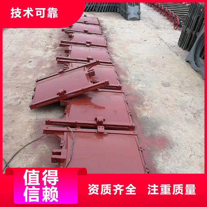鑄鐵鑲銅閘門供貨速度快