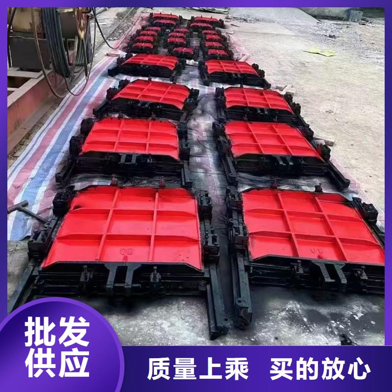 鑄鐵閘門-PZ雙向止水鑄鐵鑲銅閘門信譽良好
