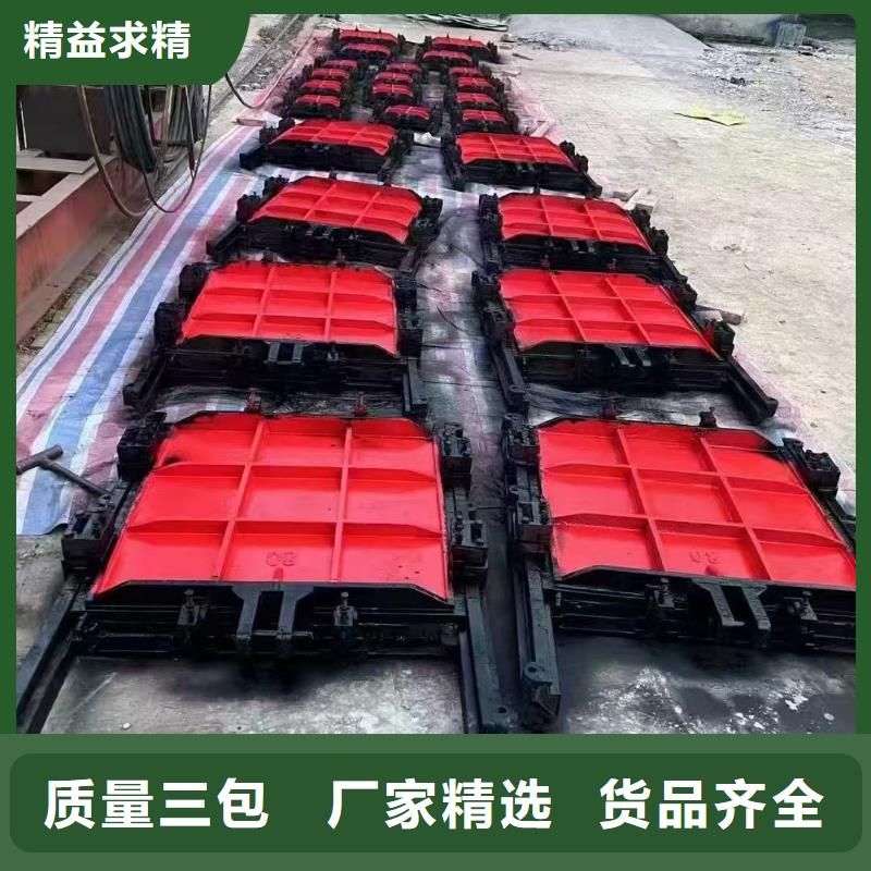 閘門啟閉機-雙向鑄鐵鑲銅閘門一站式解決方案