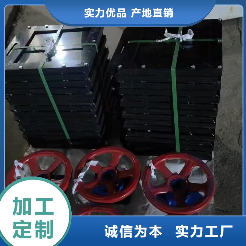 閘門啟閉機-雙向鑄鐵鑲銅閘門一站式解決方案
