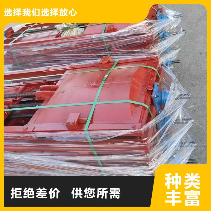 平面拱形閘門-平板鋼閘門信譽良好