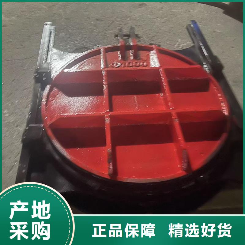 鑄鐵鑲銅圓閘門
