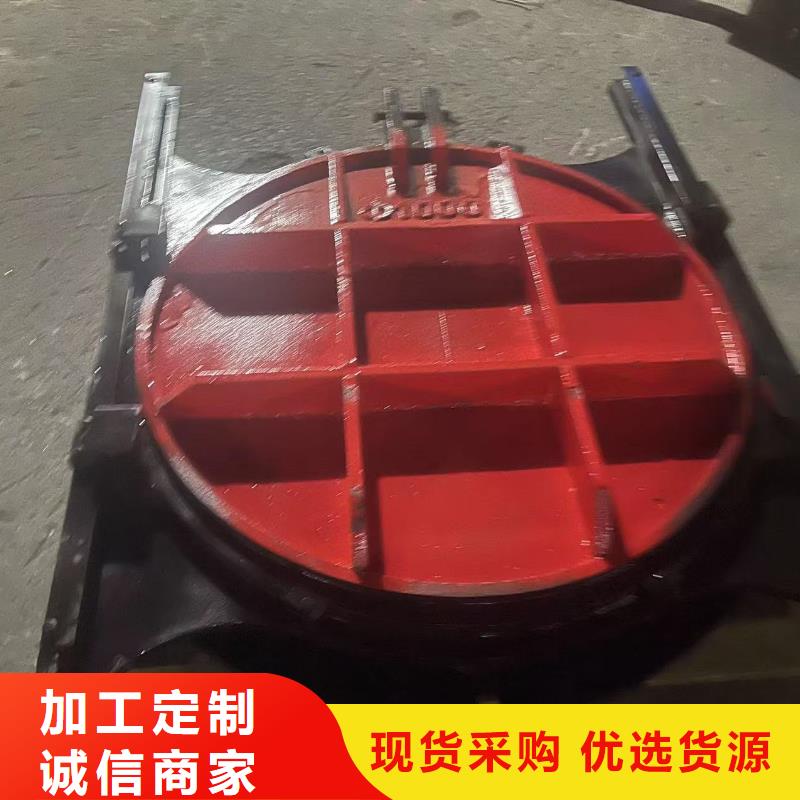 600斜拉闸门大规模厂家