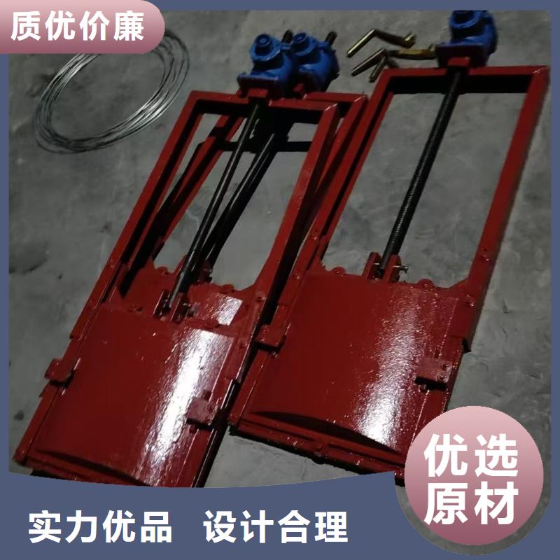 渠道閘門-鑄鐵閘門螺桿啟閉機自動化