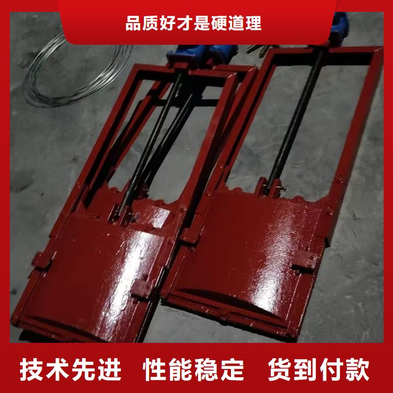 鑄鐵鑲銅閘門-閘門與啟閉機靠譜