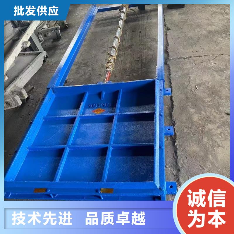 渠道闸门-附壁式双向止水铸铁闸门定制化