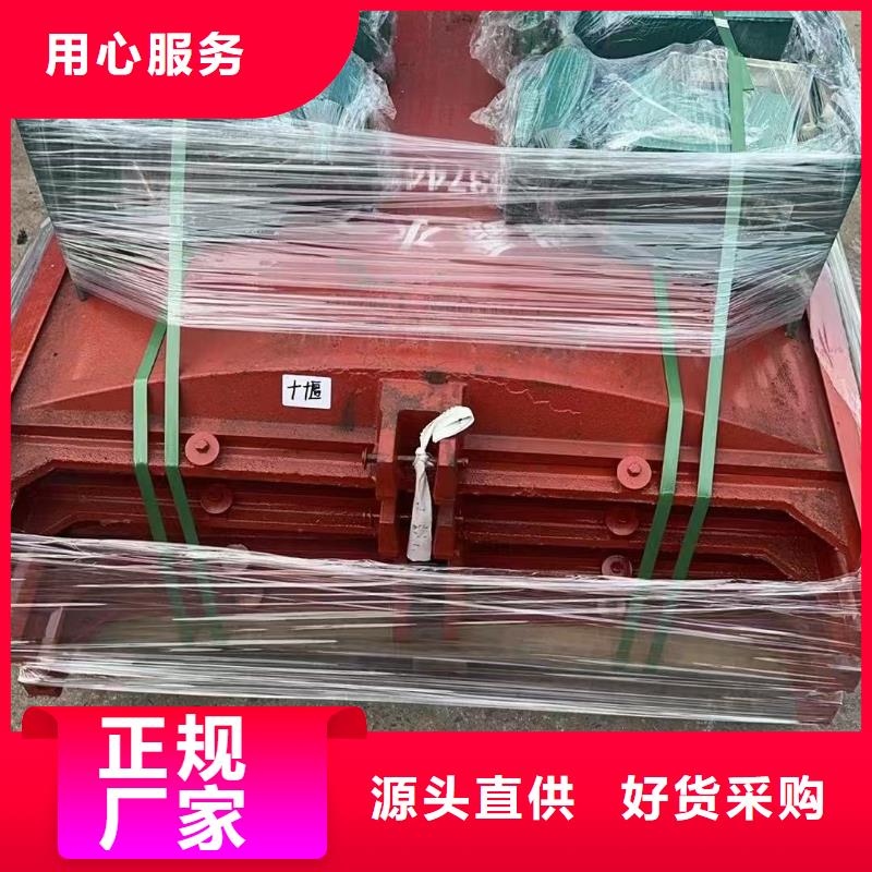 正規鑄鐵園閘門手動閘板生產廠家