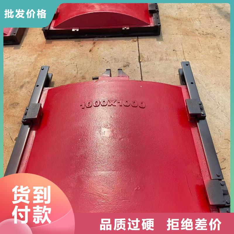 供应批发双向铸铁闸门-口碑好