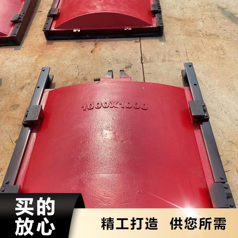 閘門啟閉機-雙向鑄鐵鑲銅閘門一站式解決方案