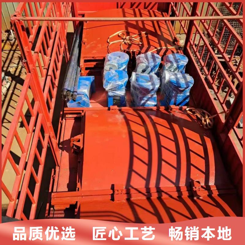 平面拱形鑄鐵閘門源頭好貨