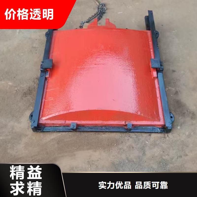 渠道闸门-pz机闸一体式铸铁闸门自动化