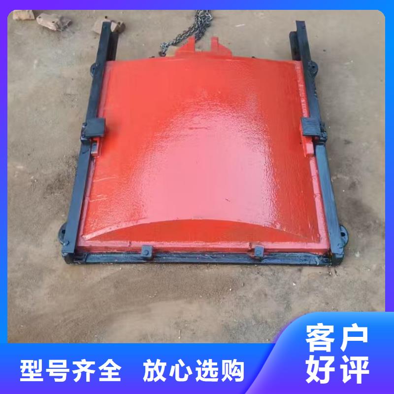 鑄鐵閘門-異形鑄鐵雙向止水閘門終身維護(hù)