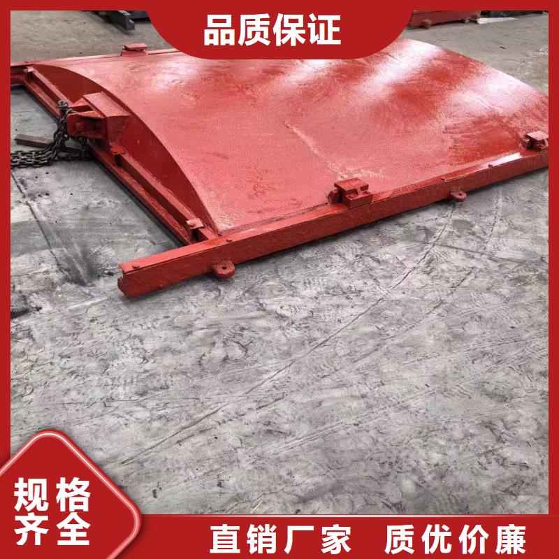 優質的自動排水閘門認準瑞鑫啟閉機鑄鐵閘門清污機鋼閘門拍門水工機械廠