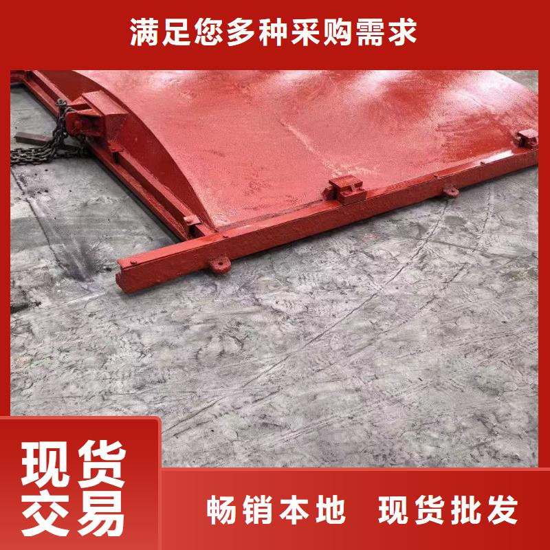水工啟閉機(jī)閘門生產(chǎn)廠家價(jià)格優(yōu)惠
