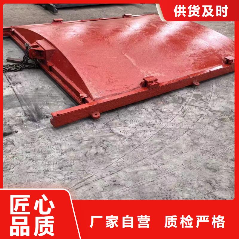 錦江區(qū)鑲銅鑄鐵閘門