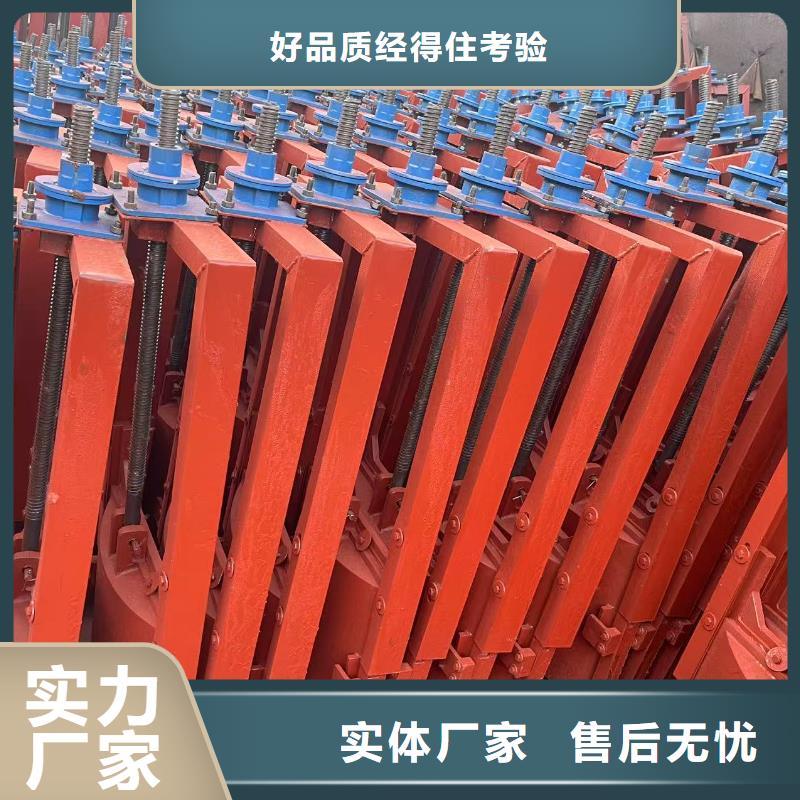 閘門啟閉機-雙向螺旋閘門售后無憂