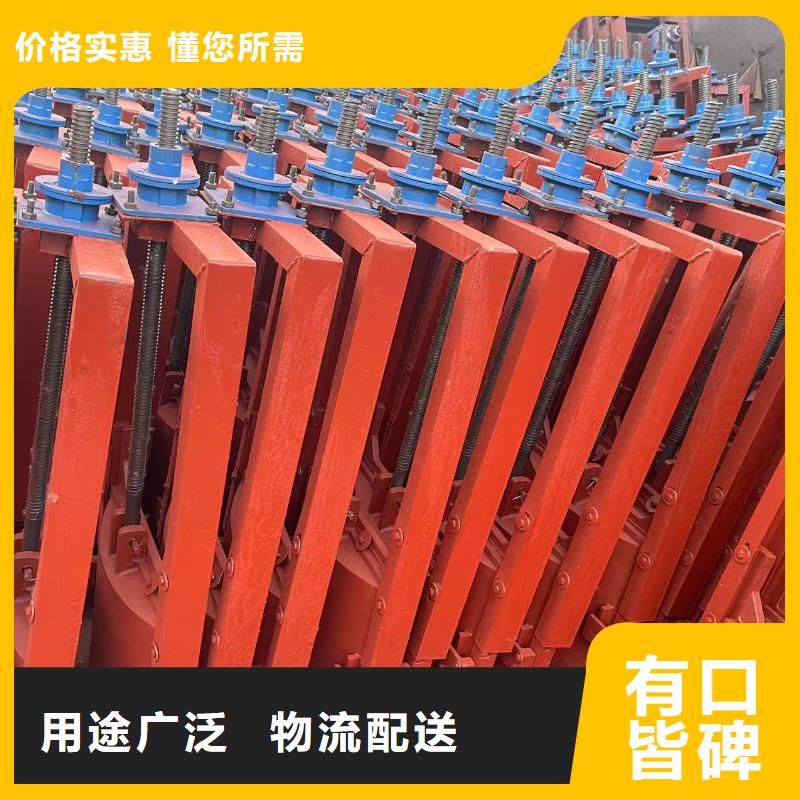 博野縣鑲銅鑄鐵閘門