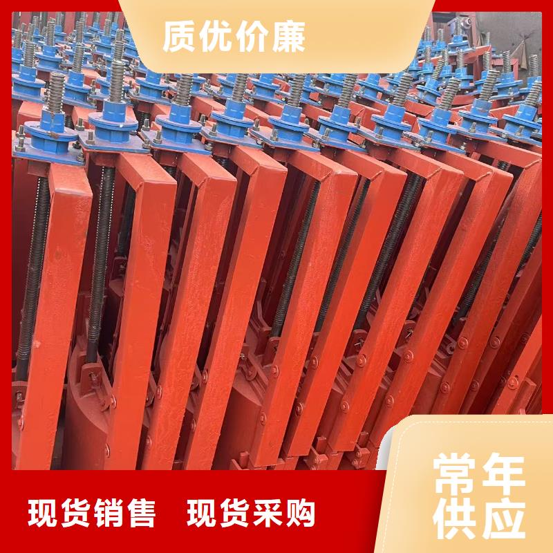 铸铁闸门-pz双向止水铸铁闸门品质卓越