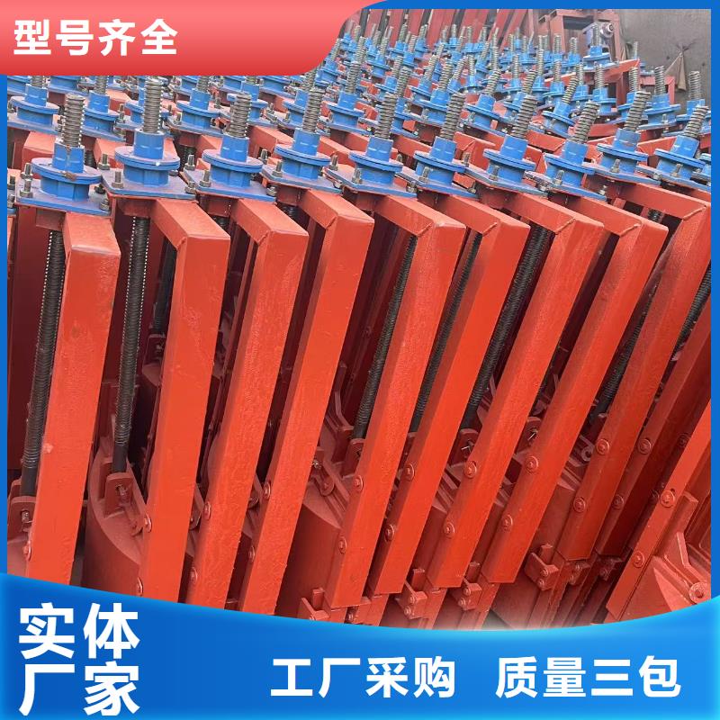 铸铁闸门-平板钢闸门高品质