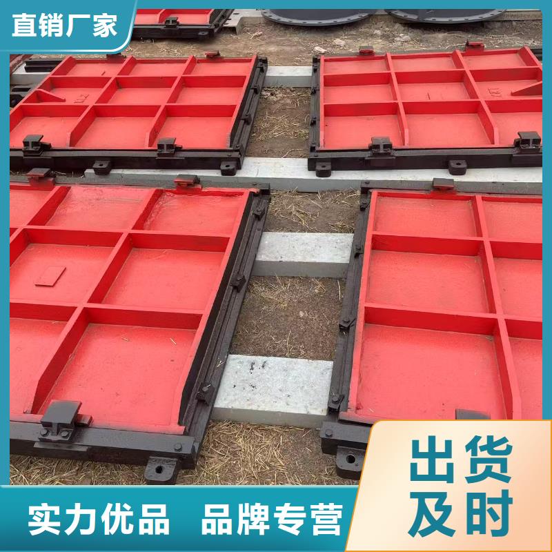 鑄鐵鑲銅閘門(mén)-雙向螺旋閘門(mén)口碑極佳