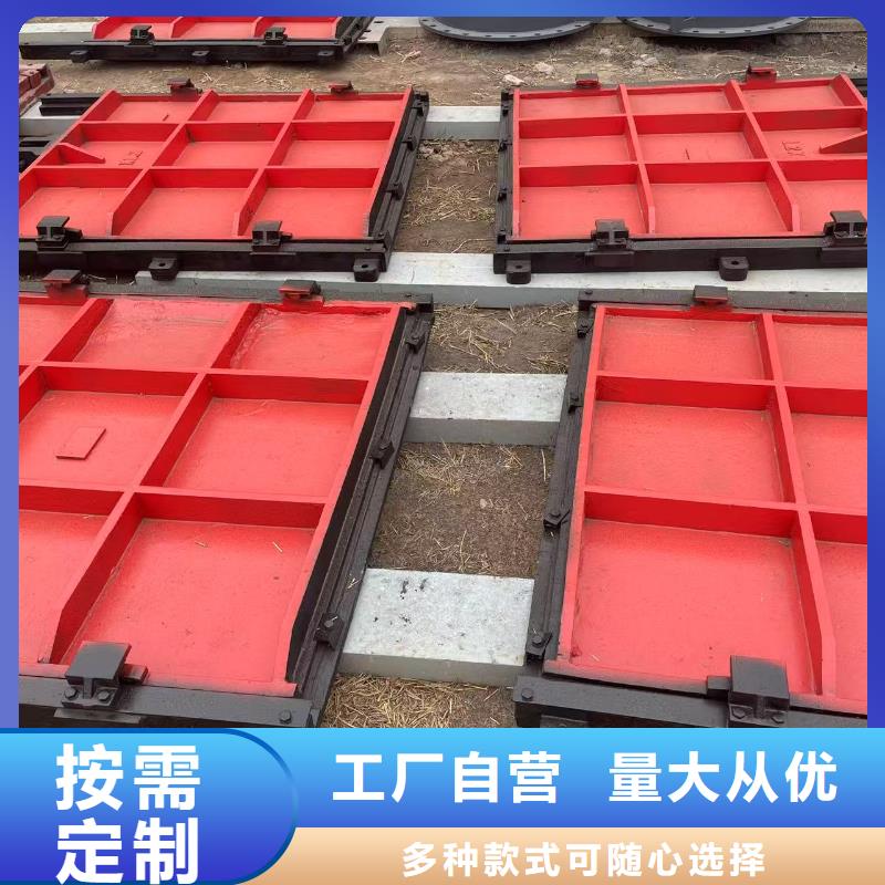 河道铸铁闸门-双止水铸铁闸门自动化