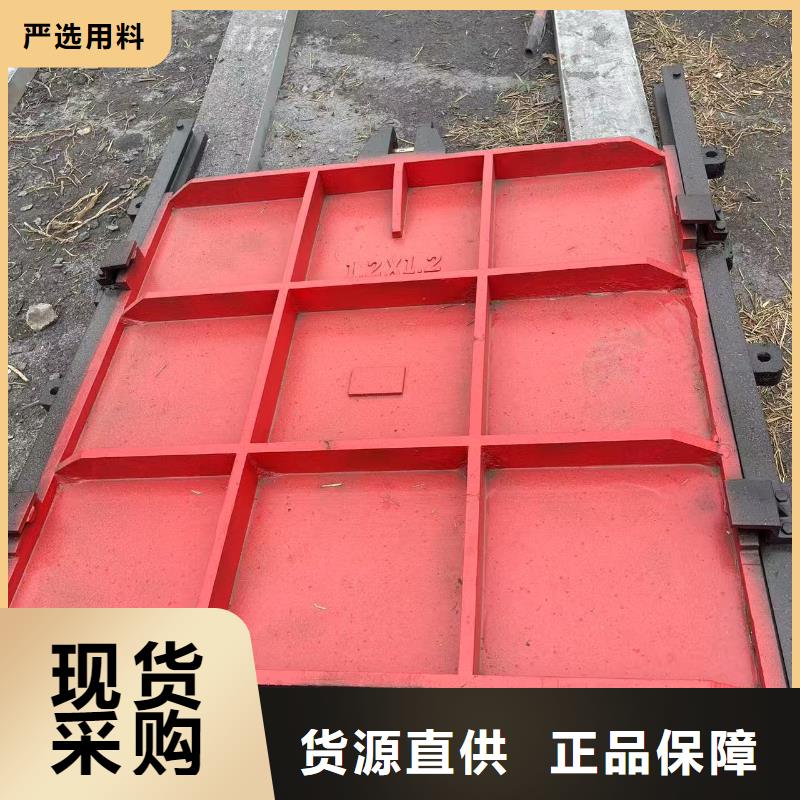 暗桿式鑄鐵鑲銅閘門物超所值