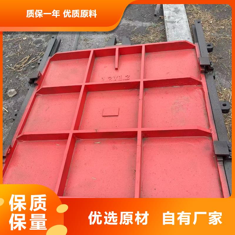 手提式铸铁闸门水利闸门量大价格从优