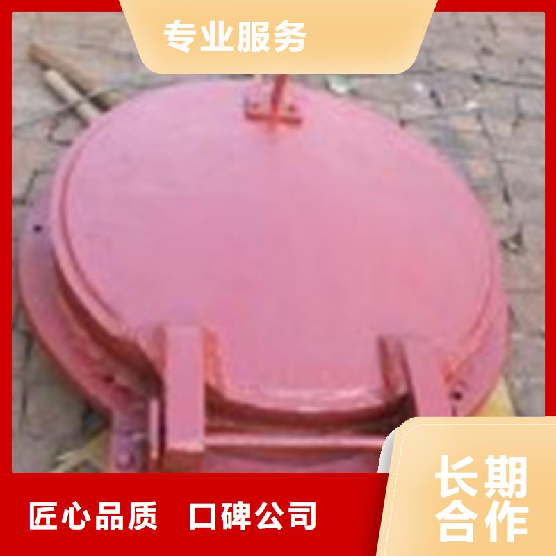 拍門鋼制拍門應用廣泛