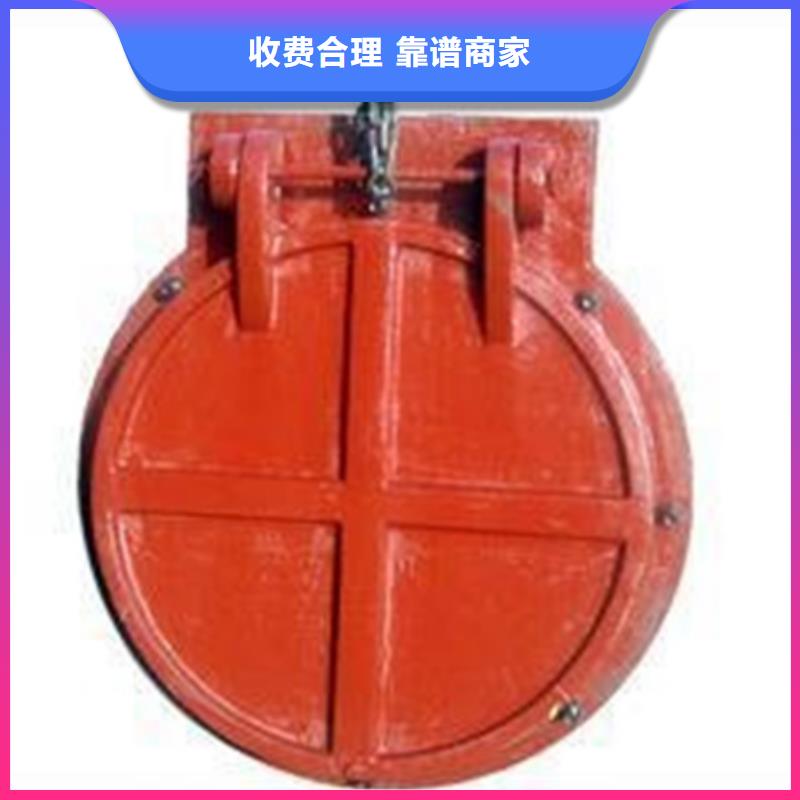 復合材料拍門-好產品放心可靠
