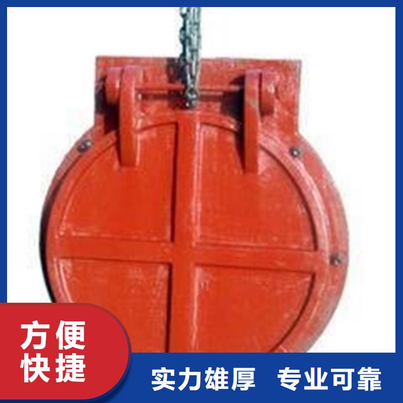 鋼制拍門定制