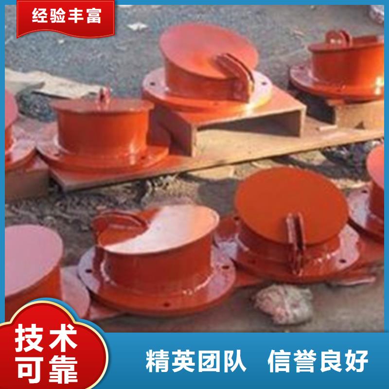 直徑鑄鐵500拍門