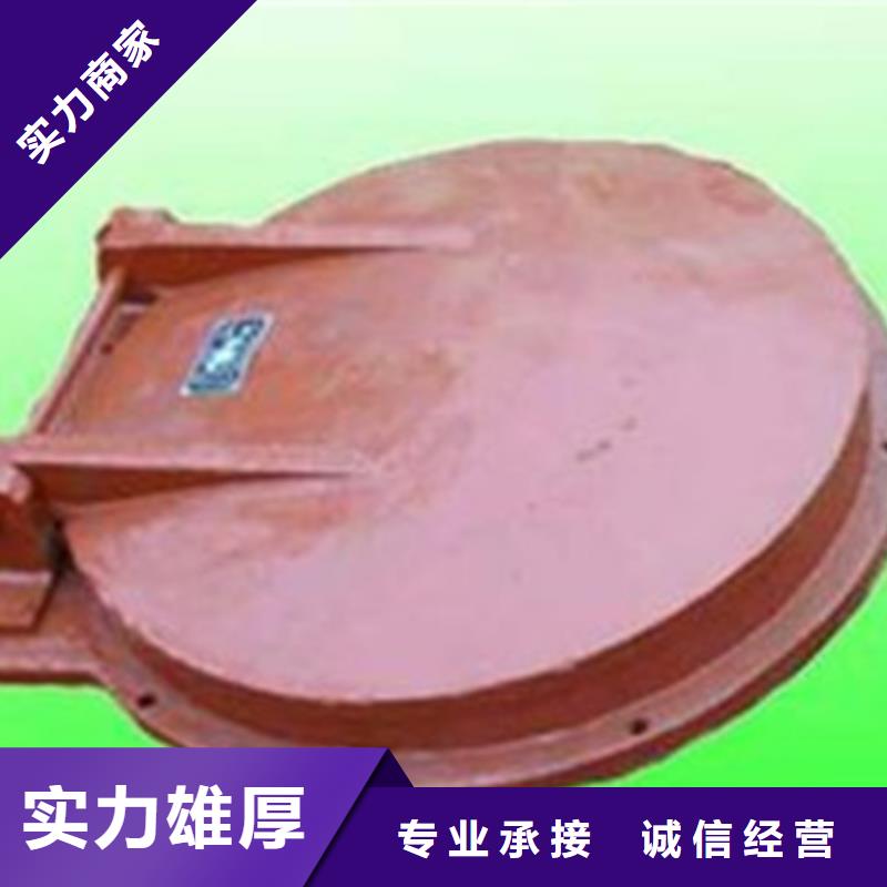鑄鐵拍門(mén)源頭工廠(chǎng)