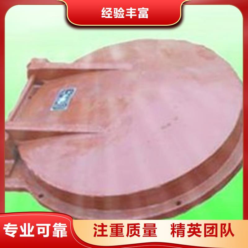 平板式鋼制拍門售后無憂大廠