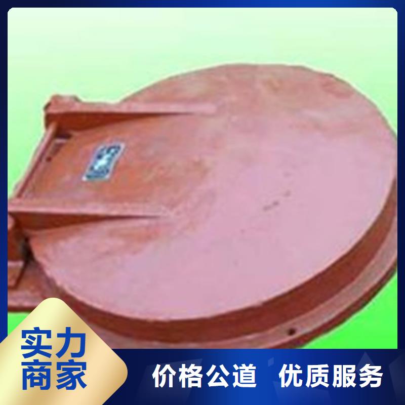 供應(yīng)批發(fā)拍門閘門-好評(píng)