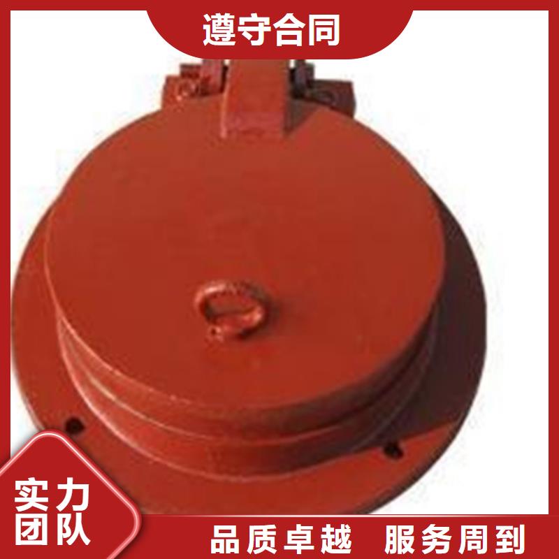 生產(chǎn)600鑄鐵拍門_誠信企業(yè)