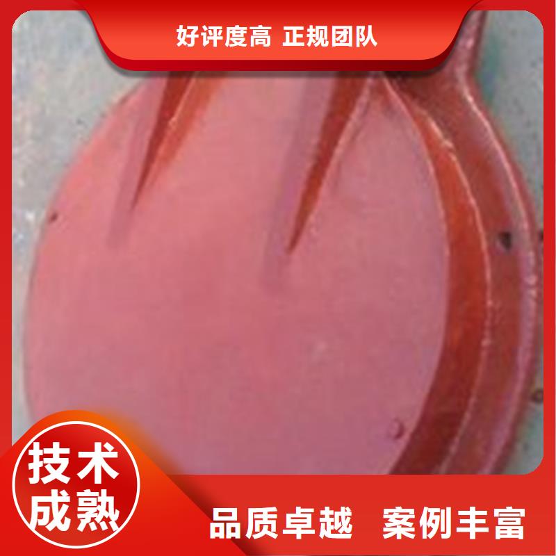 實力雄厚的鑄鐵圓拍門生產(chǎn)廠家