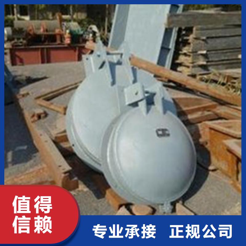供應防倒灌鑄鐵拍門